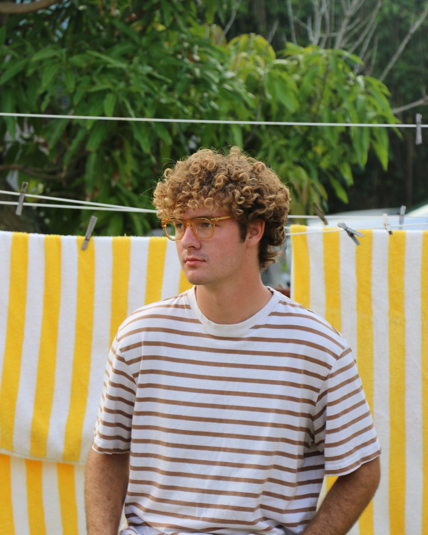 Honey Frames